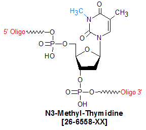 picture of N3-Methyl dT (m3dT)
